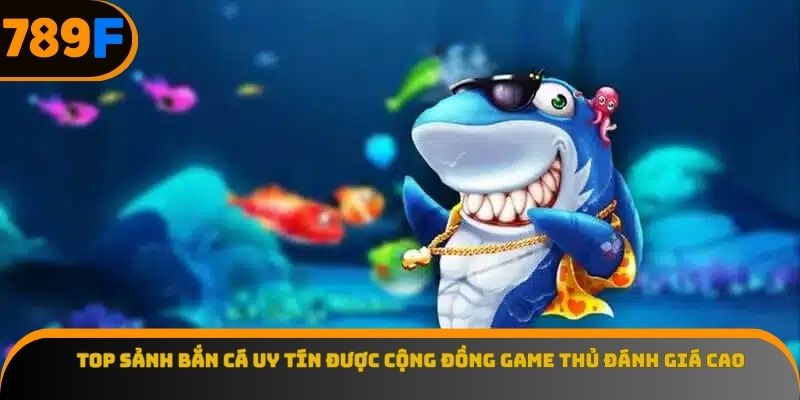 Top Sảnh Bắn Cá Uy Tín Được Cộng Đồng Game Thủ Đánh Giá Cao